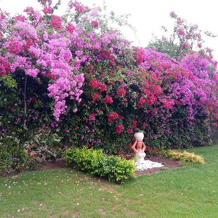 Casa Rustica Em Gravata Villa Dış mekan fotoğraf